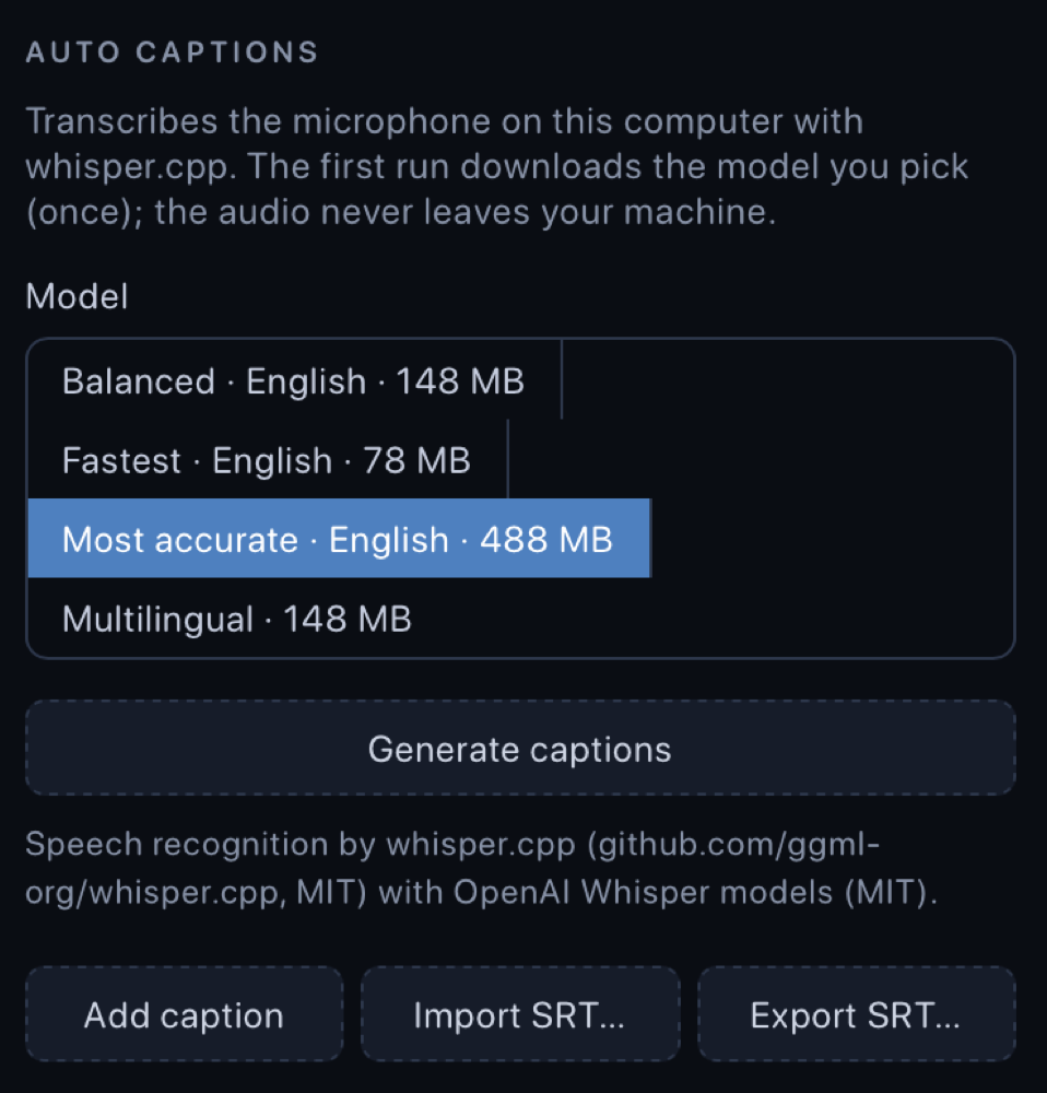 The Auto captions panel: model choice, Generate captions, Add caption, Import SRT and Export SRT